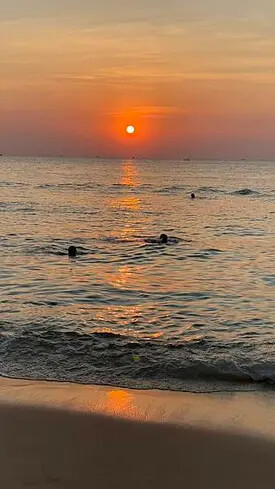 IMG_6245.jpg IMG_6245.jpg