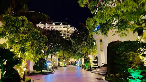 IMG_6335 (1).jpg IMG_6335 (1).jpg