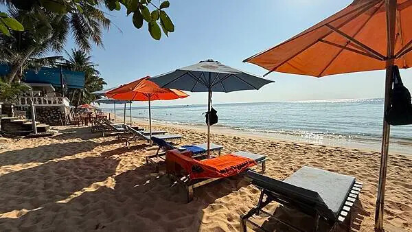 IMG_6531 (1).jpg IMG_6531 (1).jpg