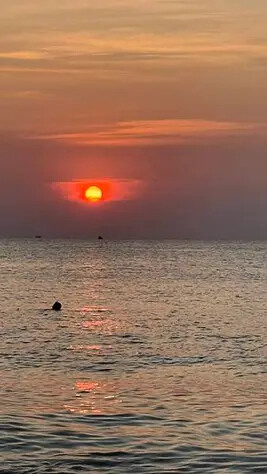 IMG_6259.jpg IMG_6259.jpg