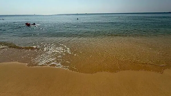 IMG_6463.jpg IMG_6463.jpg