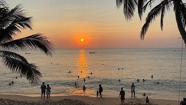 IMG_6231.jpg IMG_6231.jpg