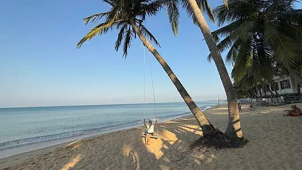 IMG_5769.jpg IMG_5769.jpg