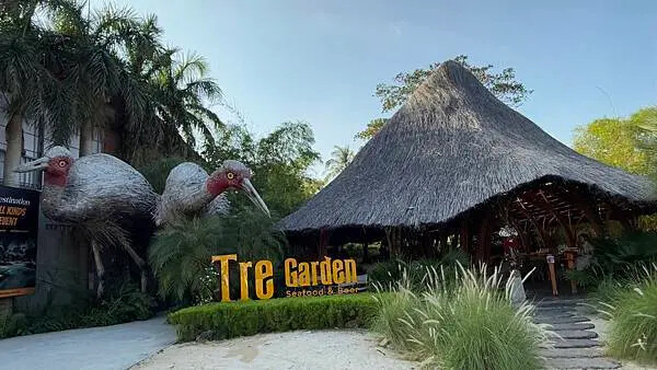 IMG_6195.jpg IMG_6195.jpg