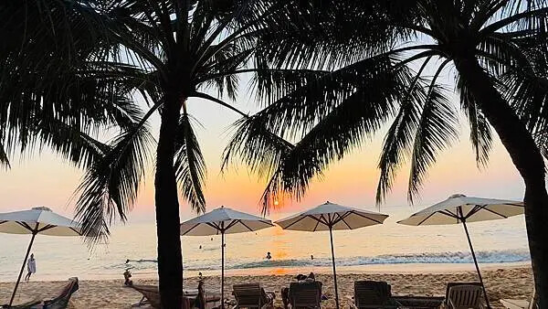 IMG_6252.jpg IMG_6252.jpg