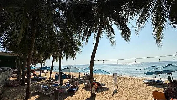 IMG_6477 (1).jpg IMG_6477 (1).jpg