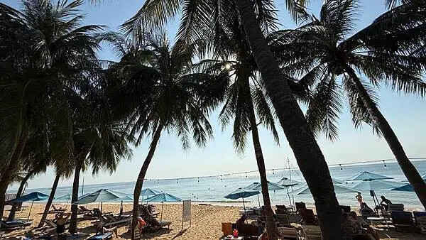 IMG_6507 (1).jpg IMG_6507 (1).jpg