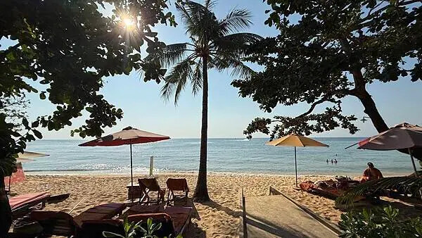 IMG_6526 (1).jpg IMG_6526 (1).jpg