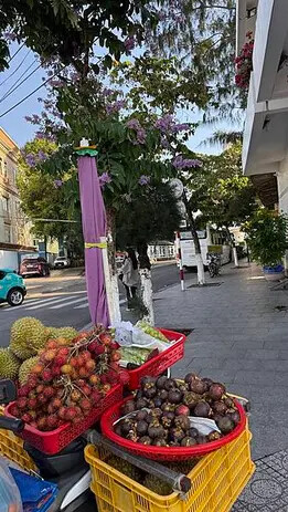 IMG_6591 (1).jpg IMG_6591 (1).jpg