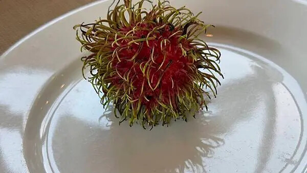 IMG_5165.jpg IMG_5165.jpg