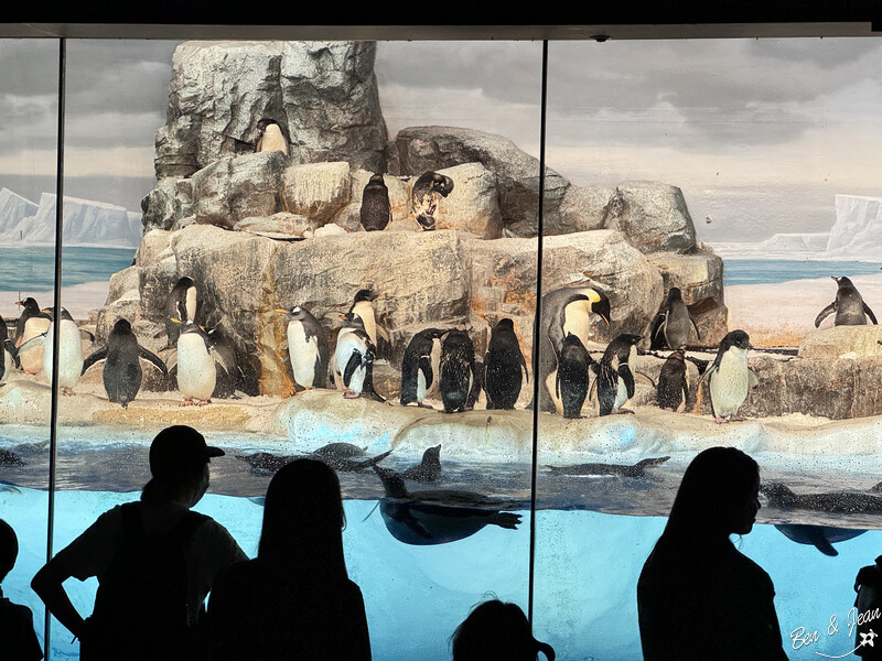 日本【名古屋景點推薦】TOP 18必去景點！名古屋自由行跟著這樣玩