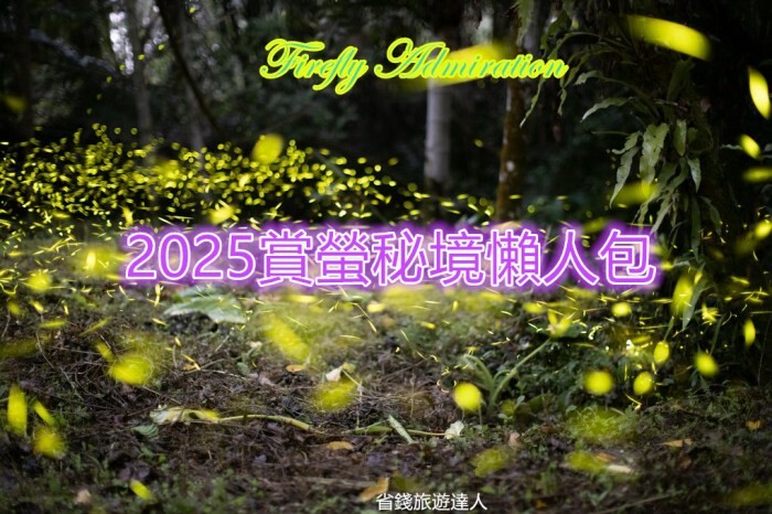台中市和平區2024山谷燈光節|谷關燈區變身聖誕村,梨山還有全國最高聖誕樹