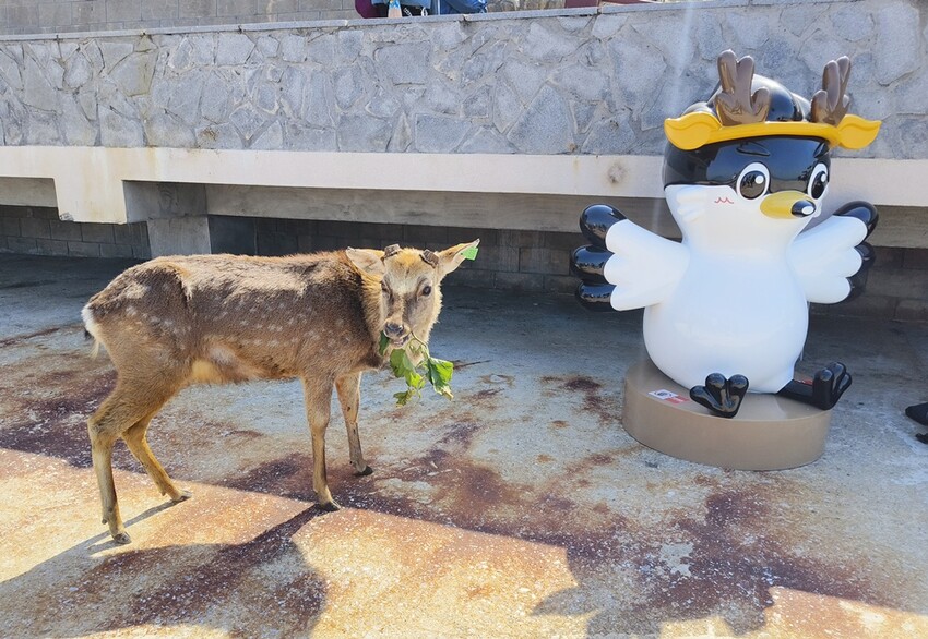 馬祖藍調時光系列活動 跳島大坵抽鹿角、收服鷗霸踩點、春遊馬祖消費集章送好禮！ - 快樂的過每一天