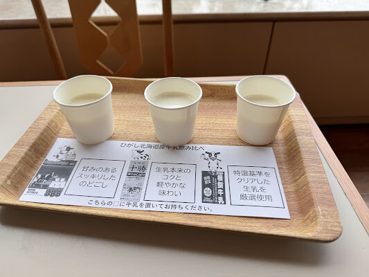 日本【2024北海道道央道東親子行】屈斜路湖王子大飯店Kussharo Prince Hotel。屈斜路湖住宿推薦 每間房間都可欣