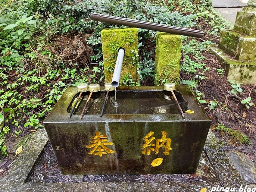 日本日本熊本景點｜上色見熊野座神社 充滿能量的神祕神社 人氣動畫螢火之森場景