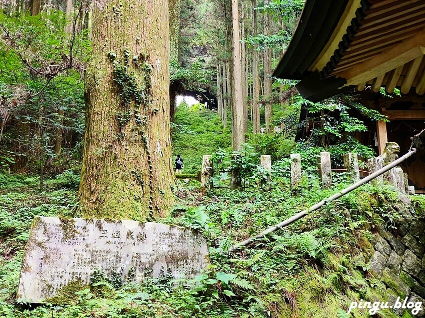 日本日本熊本景點｜上色見熊野座神社 充滿能量的神祕神社 人氣動畫螢火之森場景