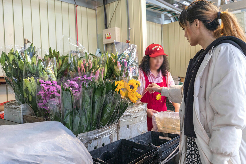 忠貞市場|4月10日正式開幕|桃園新景點|忠貞眷村 忠貞市場|4月10日正式開幕|桃園新景點|忠貞眷村
