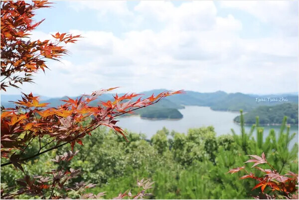 [韓國清州]青南台(청남대) |韓國總統的度假勝地！溫暖的南