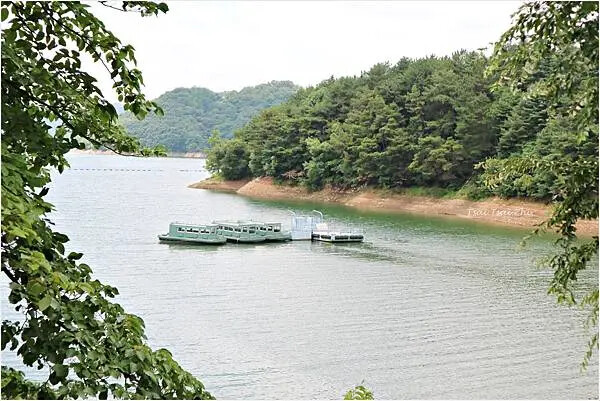 [韓國清州]青南台(청남대) |溫暖的南部'青瓦台'，依山傍