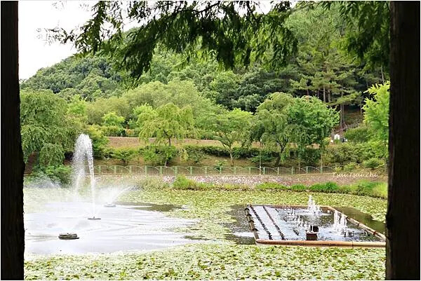 [韓國清州]青南台(청남대) |韓國總統的度假勝地！溫暖的南