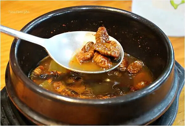 [韓國清州]豐川鰻魚풍천장어|炭烤鰻魚