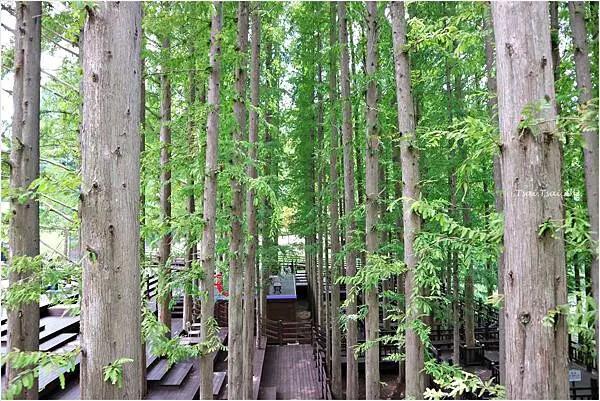 [韓國清州]青南台(청남대) |韓國總統的度假勝地！溫暖的南