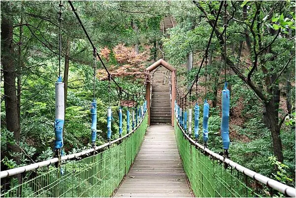 [韓國清州]青南台(청남대) |韓國總統的度假勝地！溫暖的南