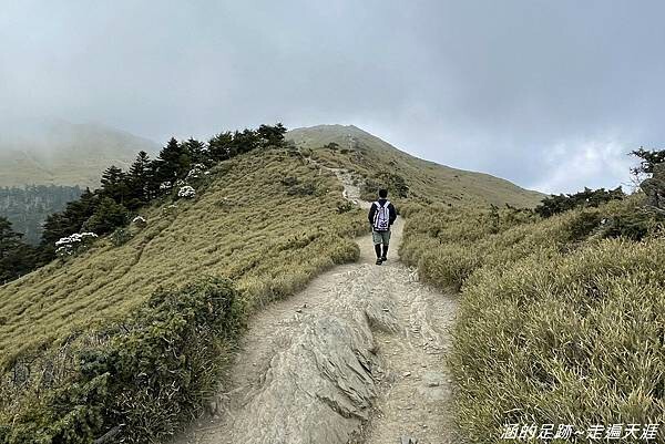 石門山 ~ 最輕鬆的百岳，群山環繞視野極佳，山頂美麗的高山杜鵑 (文內有2025合歡山杜鵑花季資訊)