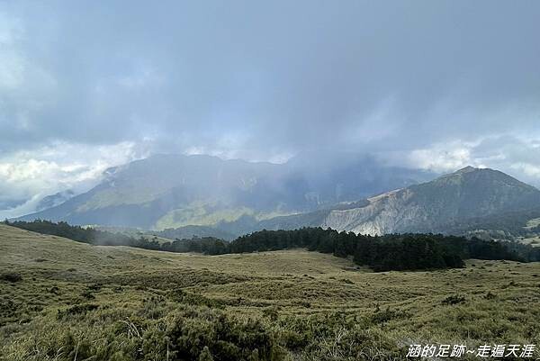 石門山 ~ 最輕鬆的百岳，群山環繞視野極佳，山頂美麗的高山杜鵑 (文內有2025合歡山杜鵑花季資訊)