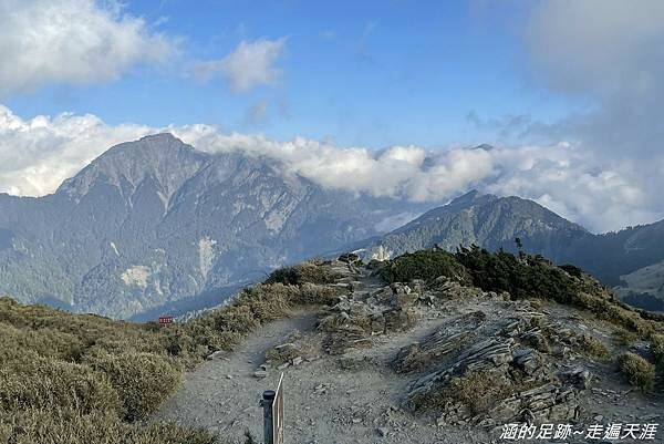 石門山 ~ 最輕鬆的百岳，群山環繞視野極佳，山頂美麗的高山杜鵑 (文內有2025合歡山杜鵑花季資訊)