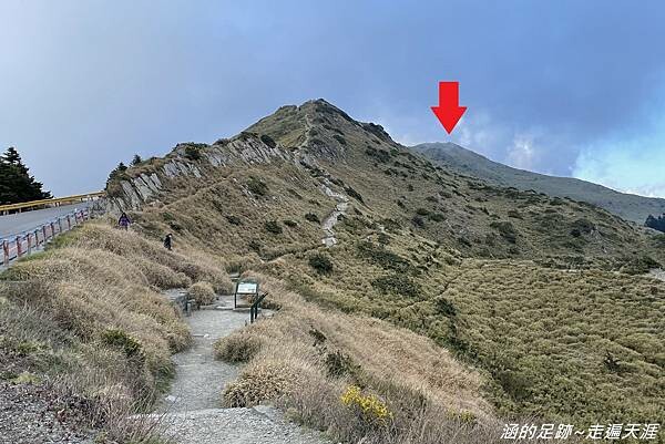 石門山 ~ 最輕鬆的百岳，群山環繞視野極佳，山頂美麗的高山杜鵑 (文內有2025合歡山杜鵑花季資訊)