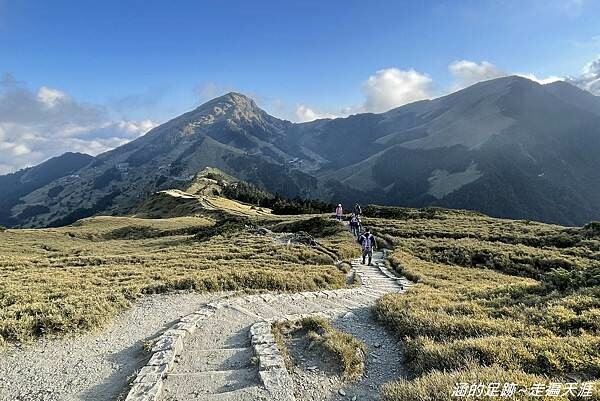 石門山 ~ 最輕鬆的百岳，群山環繞視野極佳，山頂美麗的高山杜鵑 (文內有2025合歡山杜鵑花季資訊)