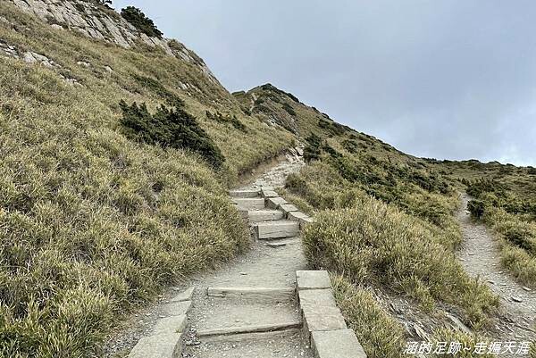 石門山 ~ 最輕鬆的百岳，群山環繞視野極佳，山頂美麗的高山杜鵑 (文內有2025合歡山杜鵑花季資訊)