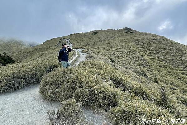 石門山 ~ 最輕鬆的百岳，群山環繞視野極佳，山頂美麗的高山杜鵑 (文內有2025合歡山杜鵑花季資訊)