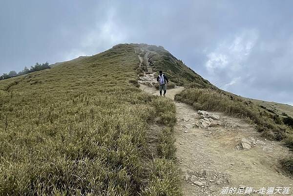 石門山 ~ 最輕鬆的百岳，群山環繞視野極佳，山頂美麗的高山杜鵑 (文內有2025合歡山杜鵑花季資訊)