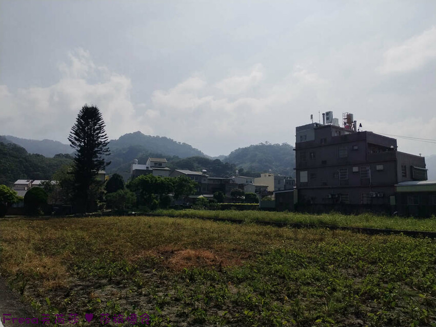 苗栗縣公館鄉苗栗公館【茅鄉亭黃金小鎮休閒農業區】公館市場採買食材「當慶Hakka好味緒－遊貓裏玩廚藝‧共下來尞」感受濃