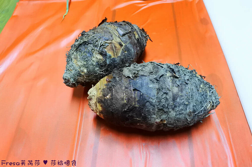 苗栗縣公館鄉苗栗公館【茅鄉亭黃金小鎮休閒農業區】公館市場採買食材「當慶Hakka好味緒－遊貓裏玩廚藝‧共下來尞」感受濃