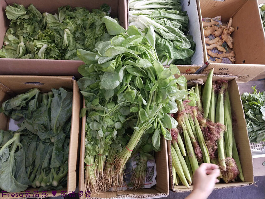 苗栗縣公館鄉苗栗公館【茅鄉亭黃金小鎮休閒農業區】公館市場採買食材「當慶Hakka好味緒－遊貓裏玩廚藝‧共下來尞」感受濃