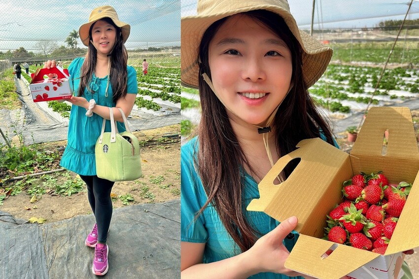 高雄市阿蓮區大崗山觀光草莓園/台南高雄也能採草莓~這裡還能採棗子