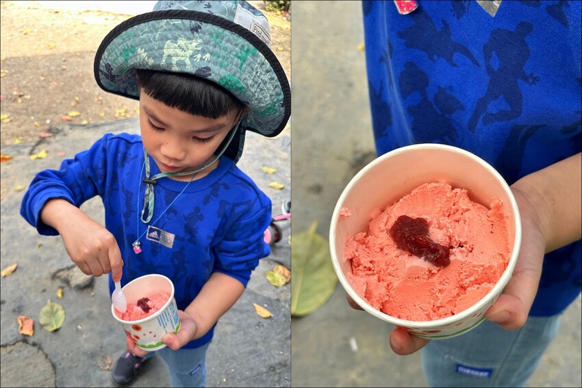高雄市阿蓮區大崗山觀光草莓園/台南高雄也能採草莓~這裡還能採棗子