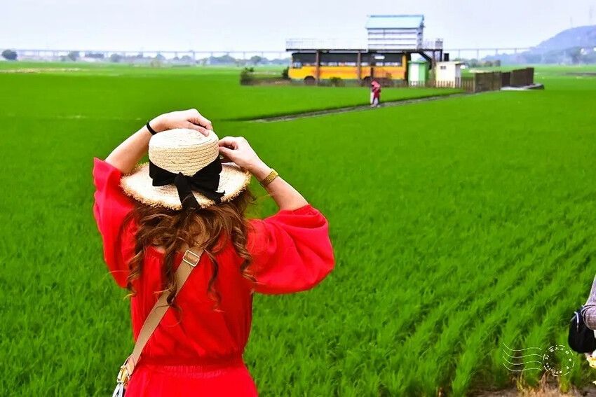 台中外埔忘憂谷