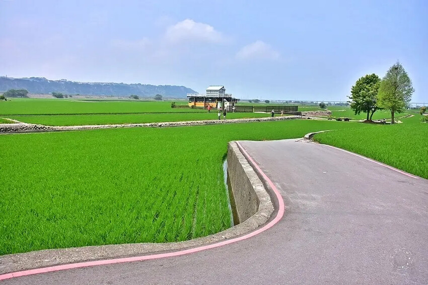 台中外埔忘憂谷