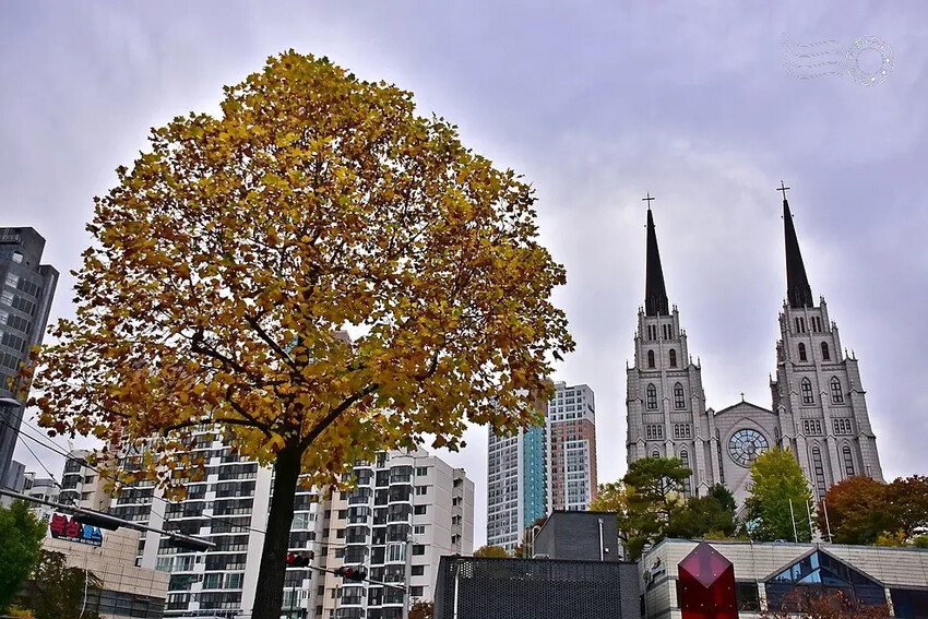 大邱第一教會新堂 大邱第一教會新堂