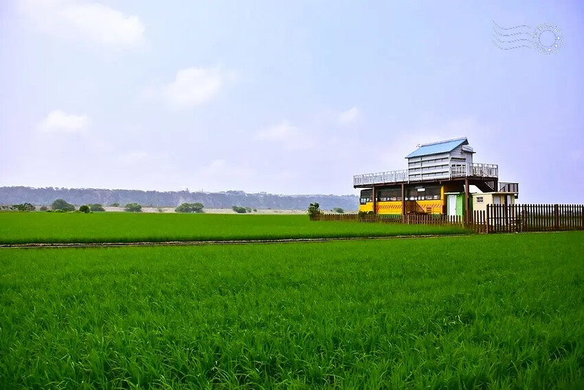 台中外埔忘憂谷