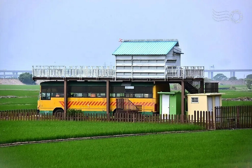 台中外埔忘憂谷