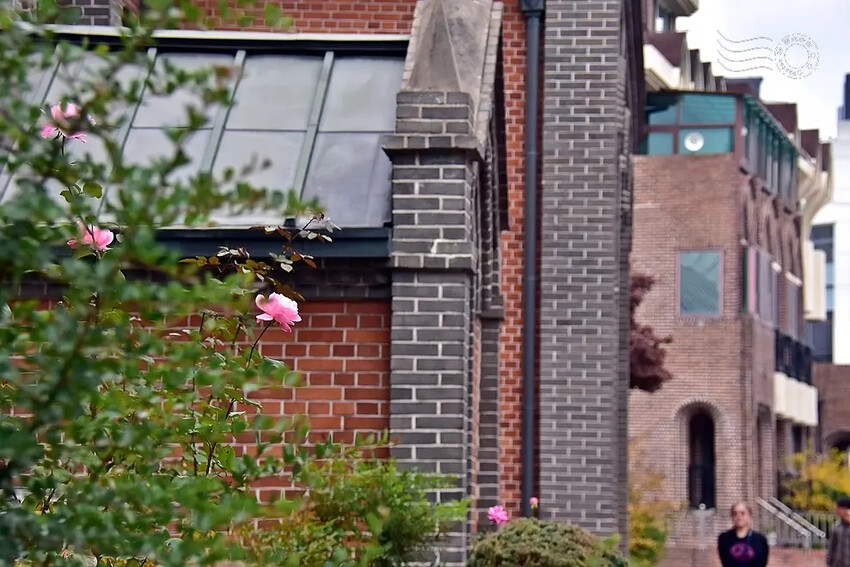 大邱【桂山聖堂】 大邱【桂山聖堂】