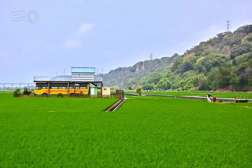 台中外埔忘憂谷