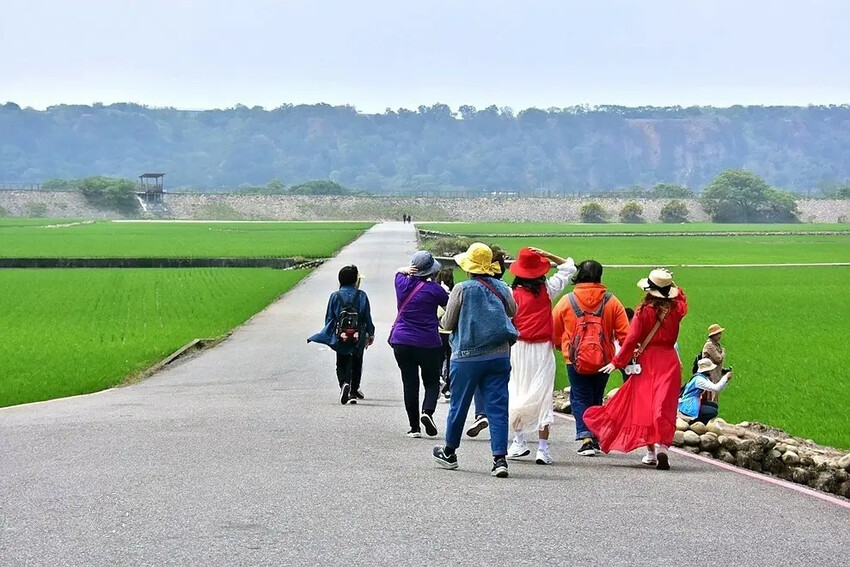 台中外埔忘憂谷