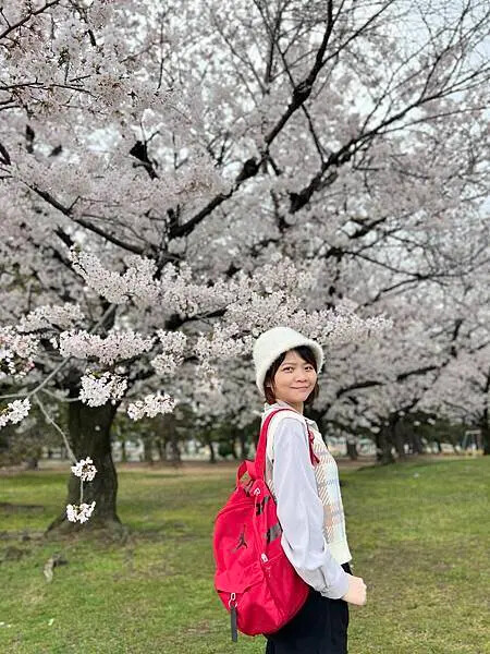 關西賞櫻秘境，濱寺公園，絕景櫻の森 !