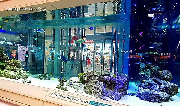 水族箱.jpg